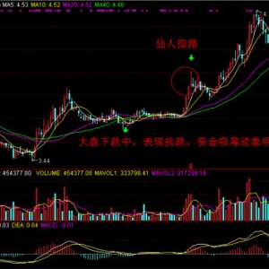 “仙人指路”侃股网举例详解