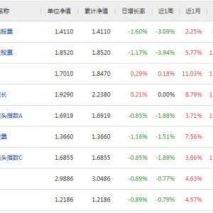 股票型基金排名表（股基TOP10）2017年07月04日