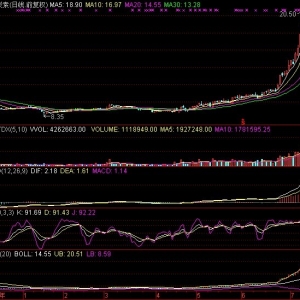 600516 方大炭素石墨龙头股走势分析（股票点评）
