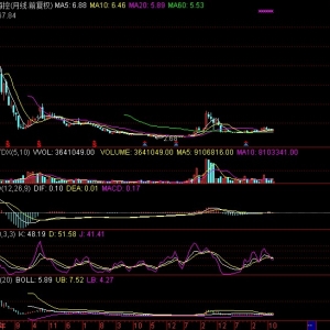 牛市十倍股摇篮：601919 中远海控个股点评（深度解析）