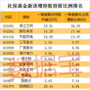 社保基金新进股都有谁？哪些个股被大幅加仓？