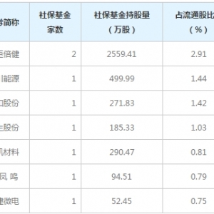 2019年社保基金新建仓股票一览表