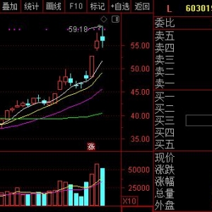 我国规划“整芯助魂”工程 助力芯片软件自主可控(概念股)