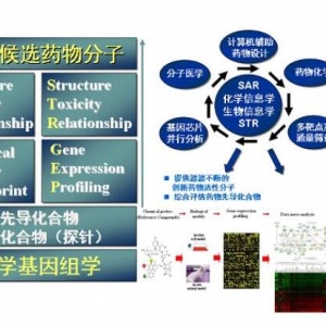 微芯生物概念股票(微芯生物概念上市公司,龙头股,受益股,参股股东) ...