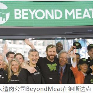 人造肉概念股票(人造肉概念上市公司,龙头股,受益股)