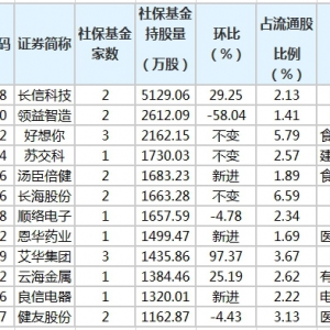2020年社保基金二季度持有哪些股票 新进股票有哪些