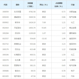2020年养老金二季度持仓股票名单一览表