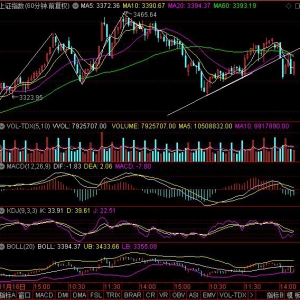 2020年12月24日（周四）大盘走势预测：只要主力有钱买就没有什么阻力 ...