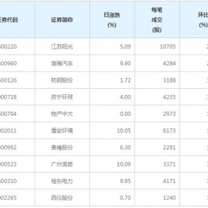 110股每笔成交量增超50%（12月30日）