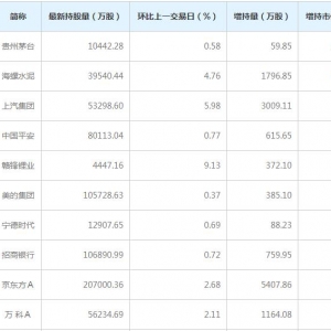 北向资金大幅加仓股名单（1月11日）