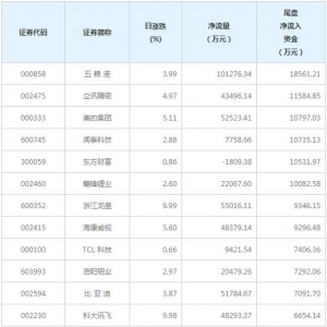 6只个股尾盘净流入资金超亿元（2月10日）