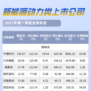 2021年新能源动力第一季度业绩排名表