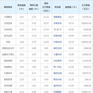 三大概念受59亿主力资金追捧（2021年11月16日）