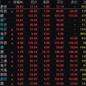 2022年半导体行业大涨 都有哪些股票领涨过