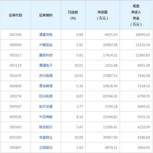 露笑科技等3只个股尾盘净流入资金超亿元（2022年8月9日）