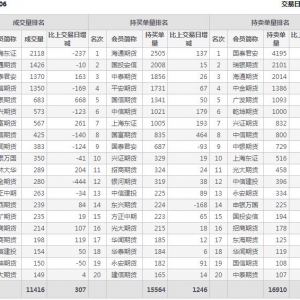 2022年11月2日IC中证500股指期货06月份合约（IC2306）持仓