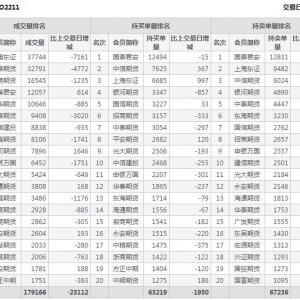 2022年11月2日沪深300股指期权11月份合约（IO2211）持仓一览表