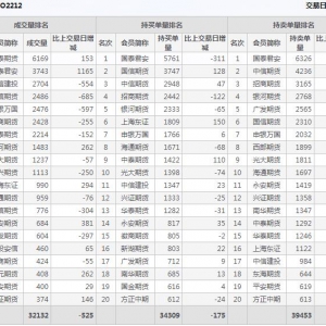 2022年11月2日沪深300股指期权12月份合约（IO2212）持仓一览表