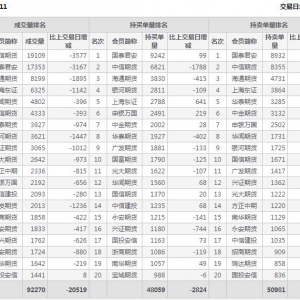 2022年11月3日沪深300股指期货11月份合约（IF2211）持仓一览表