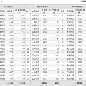 2022年11月3日沪深300股指期货12月份合约（IF2212）持仓一览表