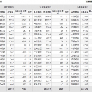 2022年11月3日IC中证500股指期货12月份合约（IC2212）持仓