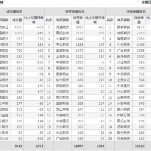 2022年11月3日IC中证500股指期货06月份合约（IC2306）持仓