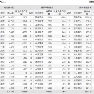 2022年11月3日沪深300股指期权11月份合约（IO2211）持仓一览表