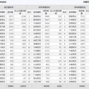 2022年11月3日沪深300股指期权12月份合约（IO2212）持仓一览表