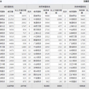2022年11月4日沪深300股指期货11月份合约（IF2211）持仓一览表