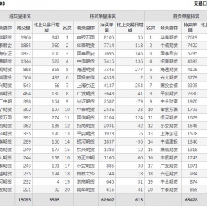 2022年11月4日IC中证500股指期货03月份合约（IC2303）持仓