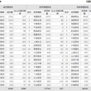 2022年11月4日IC中证500股指期货06月份合约（IC2306）持仓