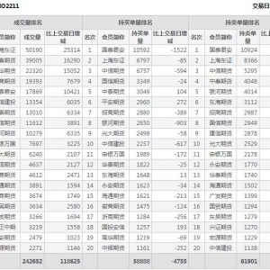2022年11月4日沪深300股指期权11月份合约（IO2211）持仓一览表