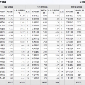 2022年11月4日沪深300股指期权12月份合约（IO2212）持仓一览表