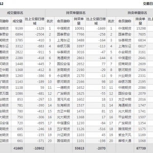 2022年11月7日沪深300股指期货12月份合约（IF2212）持仓一览表