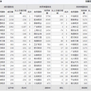 2022年11月7日沪深300股指期货03月份合约（IF2303）持仓一览表