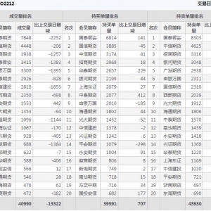 2022年11月7日沪深300股指期权12月份合约（IO2212）持仓一览表