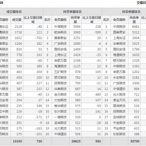 2022年11月8日沪深300股指期货03月份合约（IF2303）持仓一览表