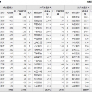 2022年11月8日IC中证500股指期货06月份合约（IC2306）持仓