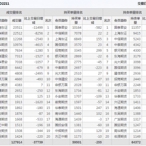 2022年11月8日沪深300股指期权11月份合约（IO2211）持仓一览表