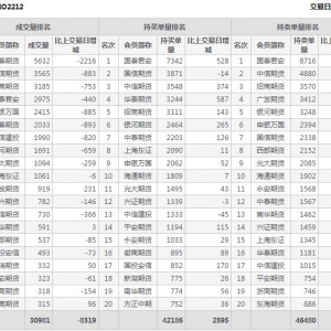2022年11月8日沪深300股指期权12月份合约（IO2212）持仓一览表