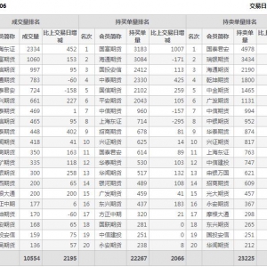 2022年11月9日IC中证500股指期货06月份合约（IC2306）持仓