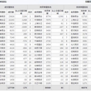 2022年11月9日沪深300股指期权11月份合约（IO2211）持仓一览表