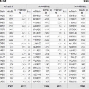 2022年11月9日沪深300股指期权12月份合约（IO2212）持仓一览表