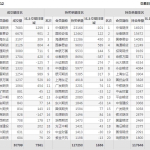 2022年11月10日IC中证500股指期货12月份合约（IC2212）持仓