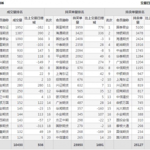 2022年11月10日IC中证500股指期货06月份合约（IC2306）持仓