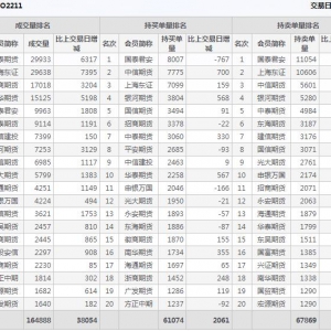 2022年11月10日沪深300股指期权11月份合约（IO2211）持仓一览表