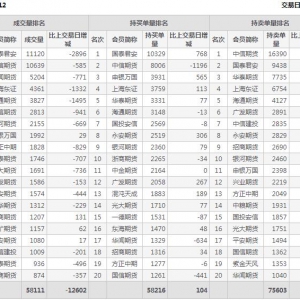2022年11月14日沪深300股指期货12月份合约（IF2212）持仓一览表