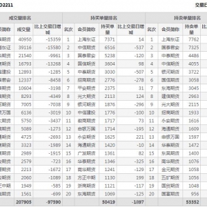 2022年11月14日沪深300股指期权11月份合约（IO2211）持仓一览表