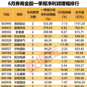 2024年6月券商金股组合（股票池）