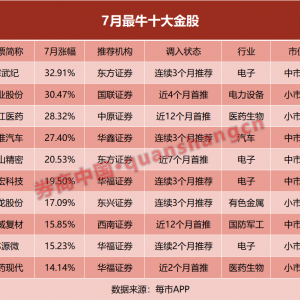 2024年8月券商金股组合（股票池）